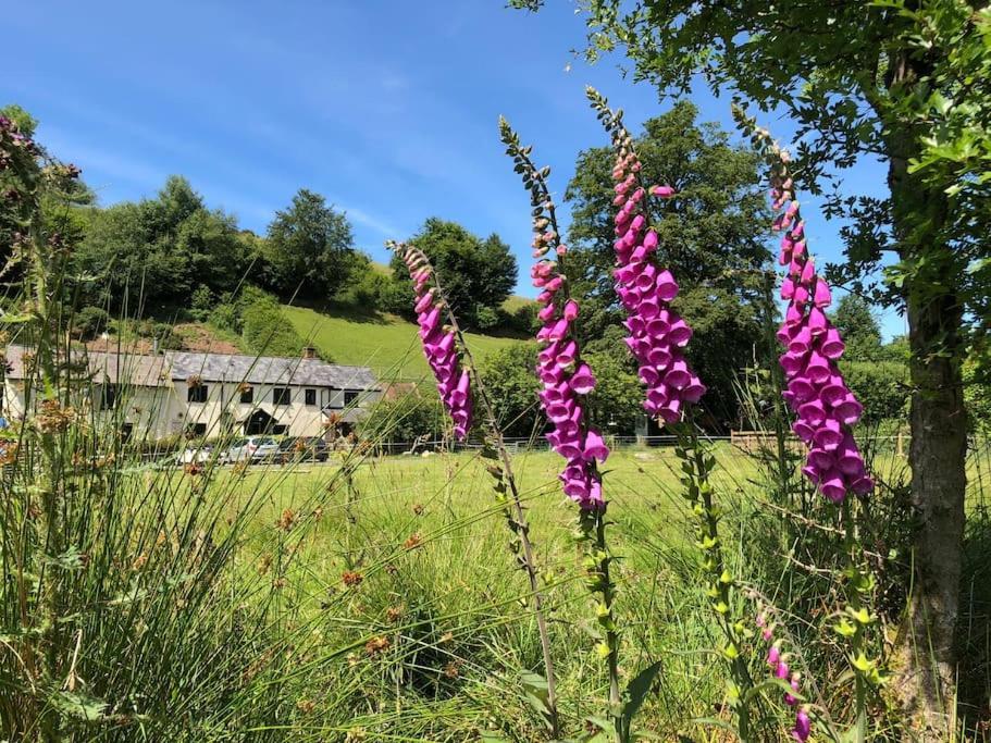 Luxury Exmoor Barn Conversion With Sauna Exford Eksteriør billede